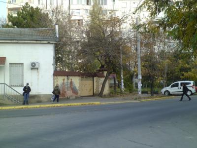 Прикрепленное изображение: P1050246-1.JPG